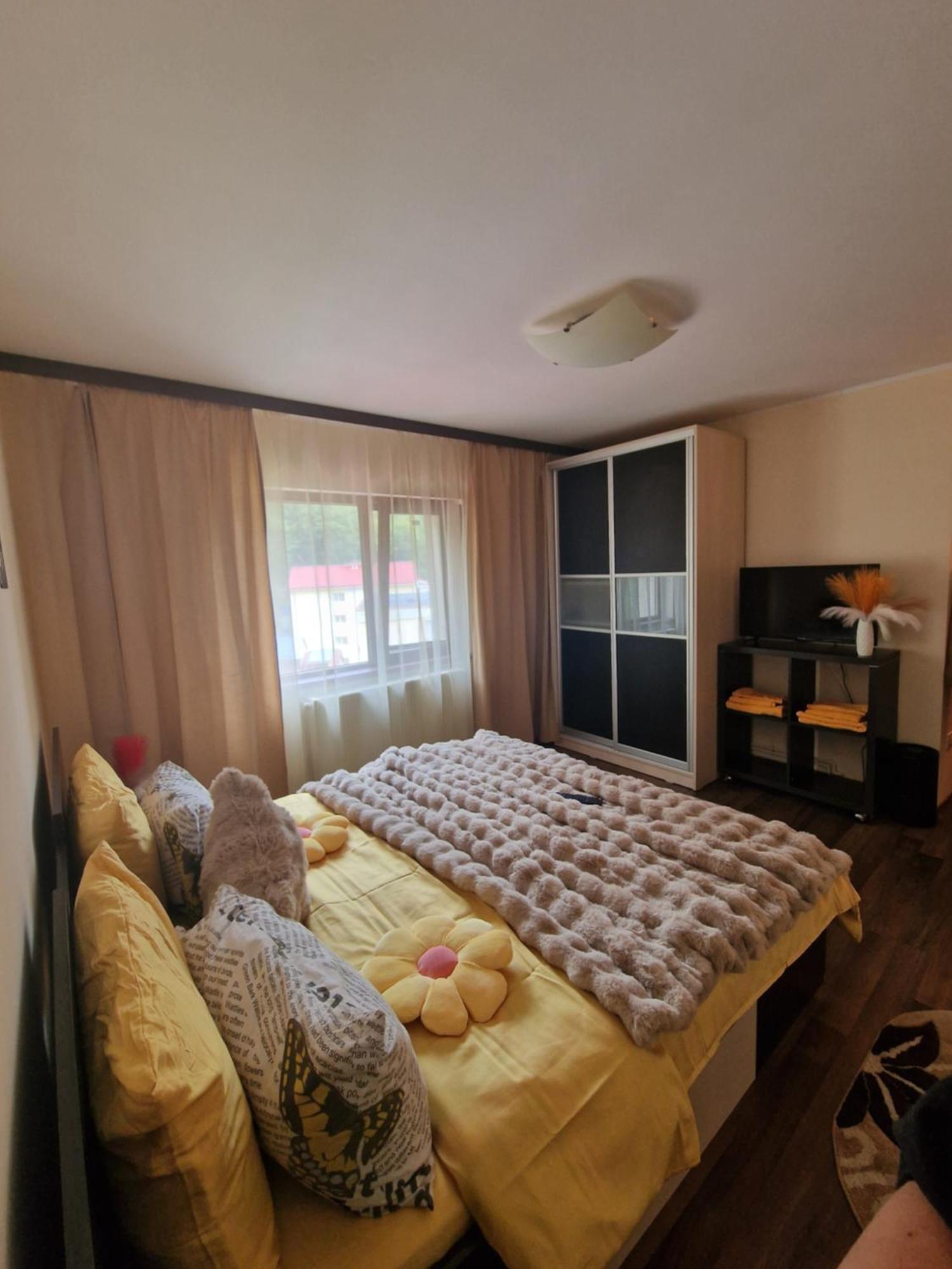 Apartament Red & Yellow Слэник-Молдова Экстерьер фото